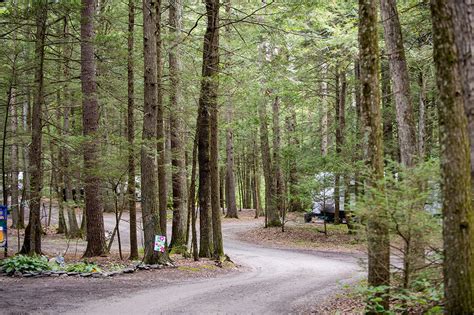 Rip van winkle campground - Established in 1966. In 1966, the campground officially opened. Today, the 160 acres that make up Rip Van Winkle campgrounds is now home to nearly 200 campsites, several fun zones including an outdoor movie theater, swimming pool, R/C tracks and a soft serve ice cream shop. 